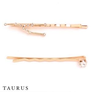 TAURUS ▫️ Zodiac Hair Pin Set